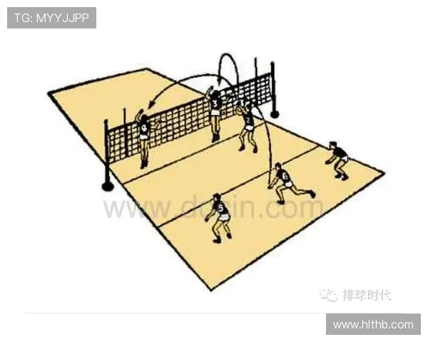 从零基础到排球高手:全面掌握排球技术的实用指南与训练方法 从零基础到排球高手:全面掌握排球技术的实用指南与训练方法