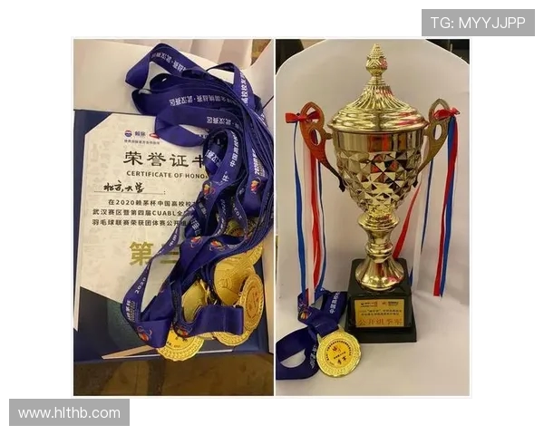 成都羽毛球队个人能力分析与联赛表现评估