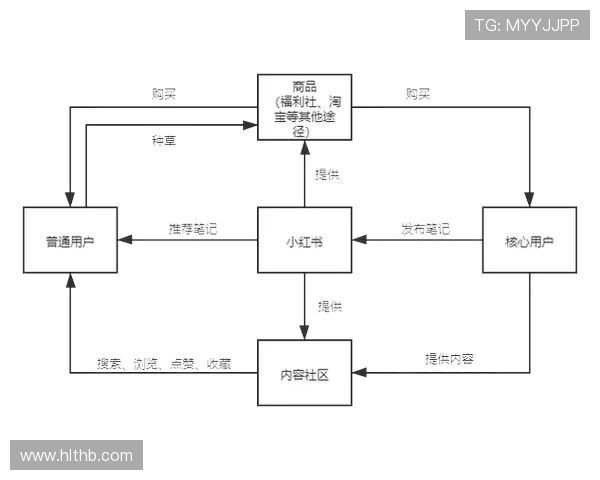 揭示V5战队运营策略与战术布局的深度分析与探讨