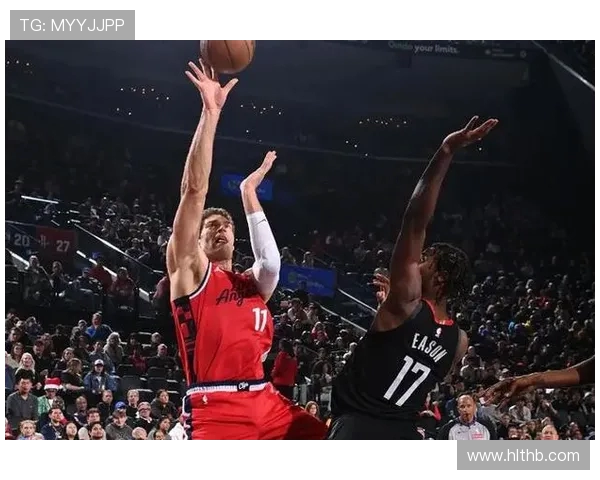 布鲁克洛佩斯：从篮球场上的巨人到全能战士的华丽转身