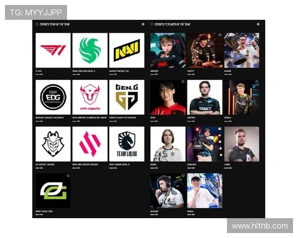 深入分析EDG战队的转换打法与战术思路解析