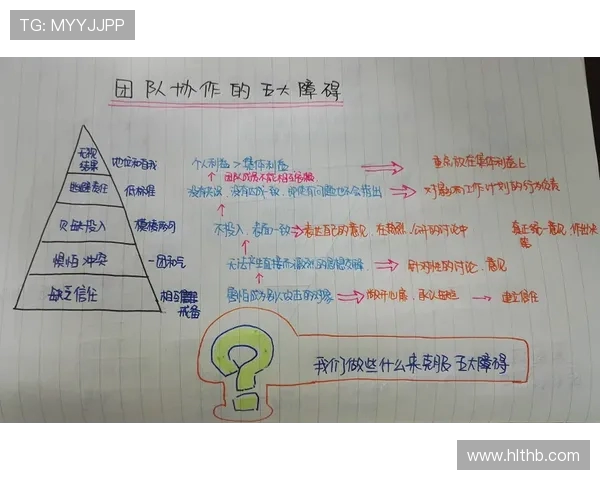 深入探讨北京羽毛球队团队协作表现的关键因素与数据分析结果